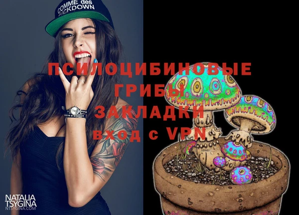прущая мука Алзамай